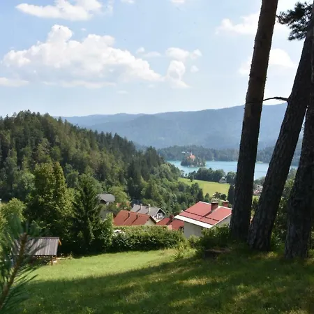 Planika Holiday home *