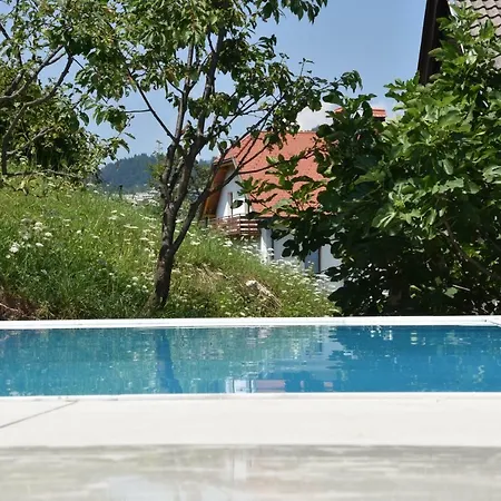 Planika Dom wakacyjny