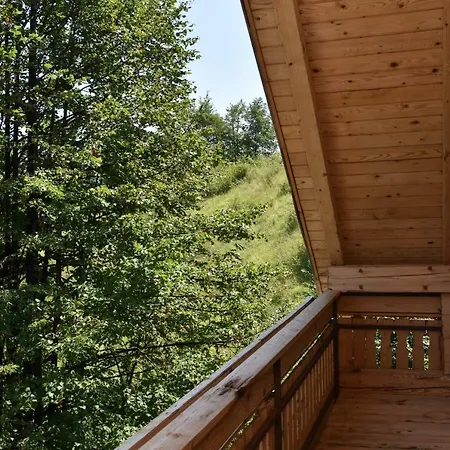 Dom wakacyjny Planika *