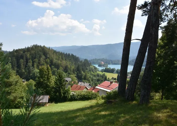 Planika Holiday home *